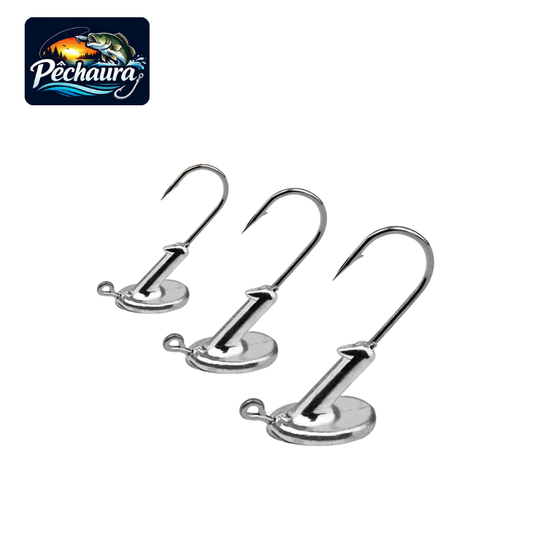 Tête plombée sabot 3.5g à 14g par 10