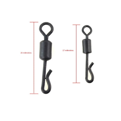 Émerillons à changement rapide  AE007